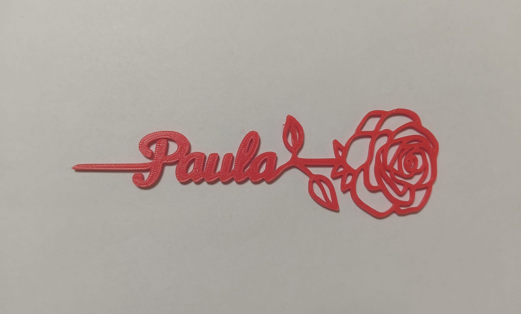 En este momento estás viendo Rosa con el nombre Paula